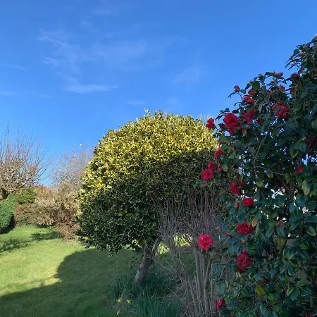 Beautiful Garden Room With Private Entrance Kingsbridge  Extérieur photo