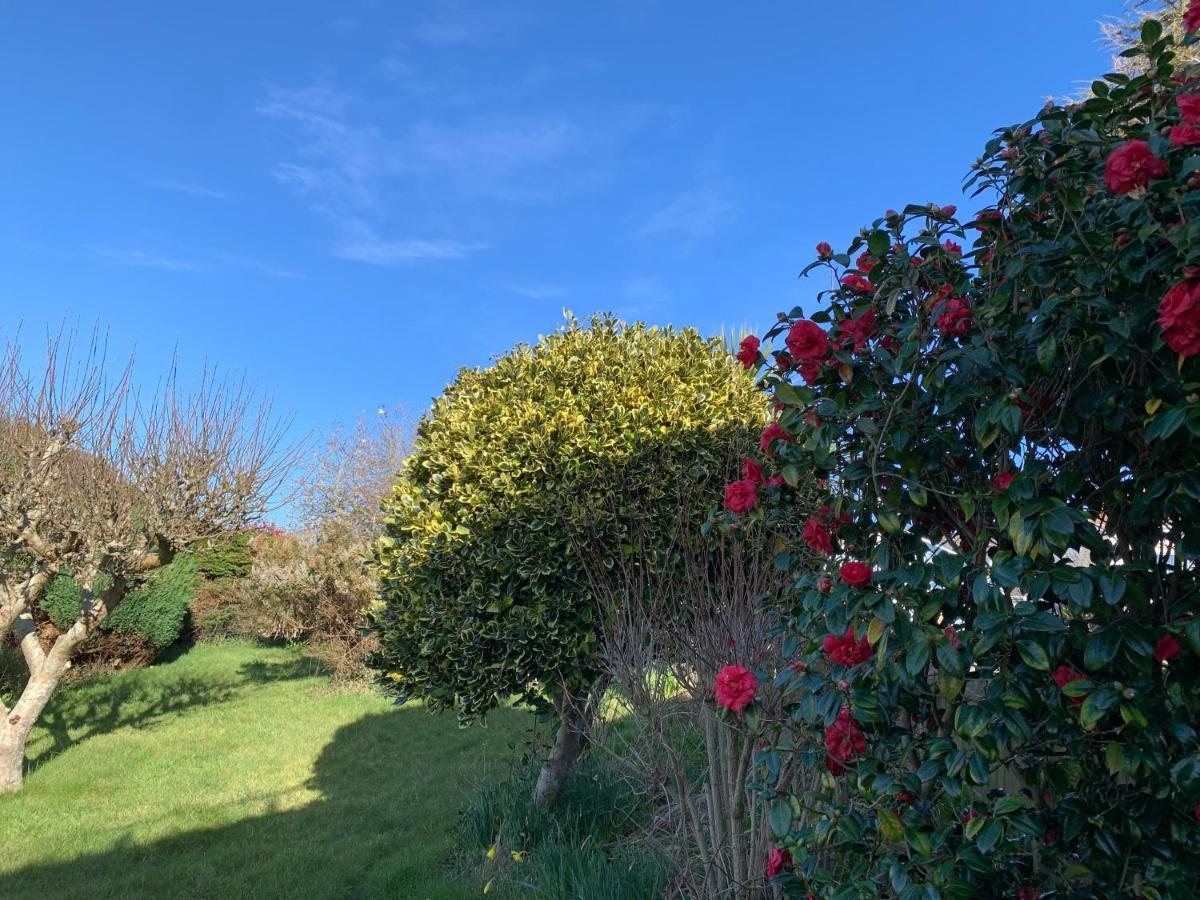 Beautiful Garden With Private Entrance Apartment *